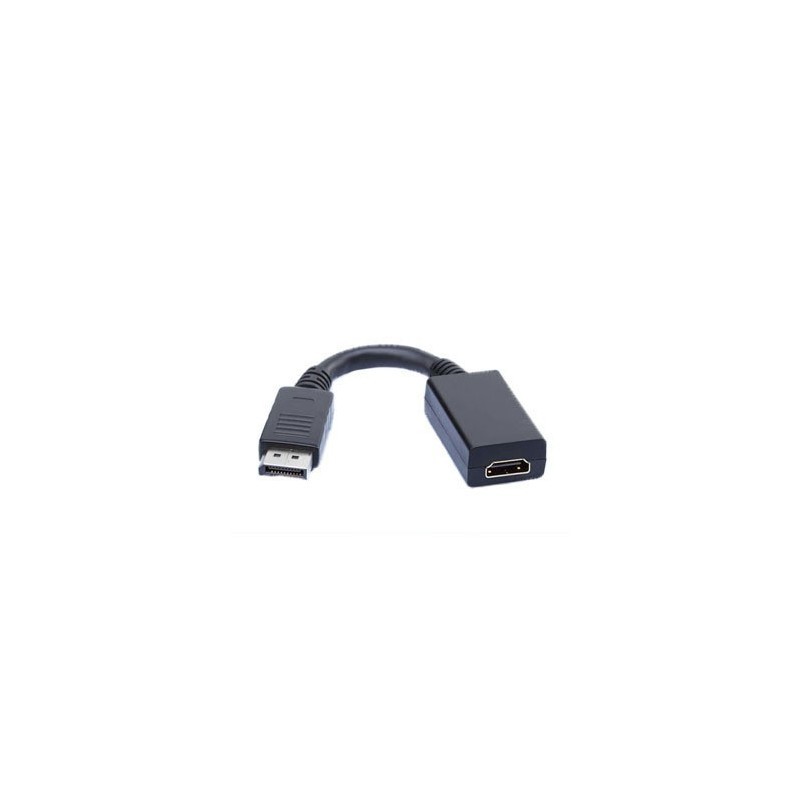 Adaptoare DisplayPort HDMI